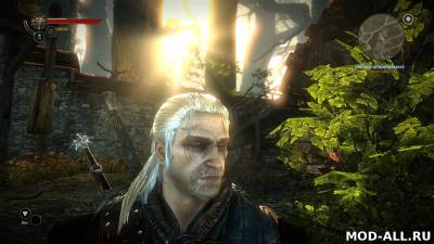 Скачать бесплатно мод Еще больше шрамов на лице Геральта для The Witcher 2